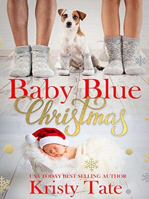 cover image of Baby Blue Christmas